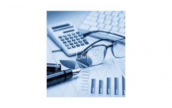 Vacancy for a post of a proffesional accountant 